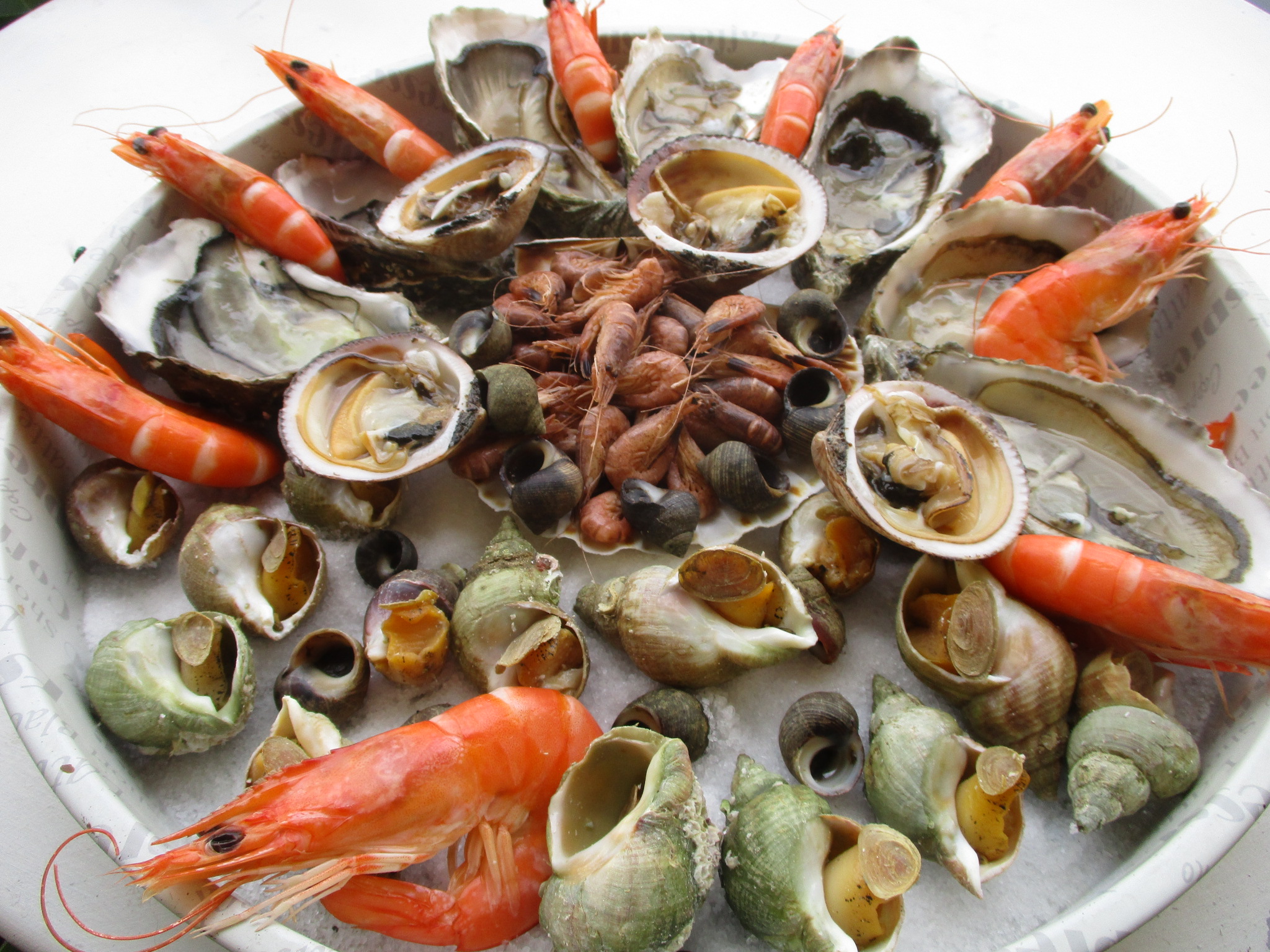 fruits-de-mer